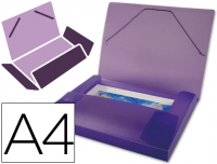 Carpeta Beautone Frosty violeta