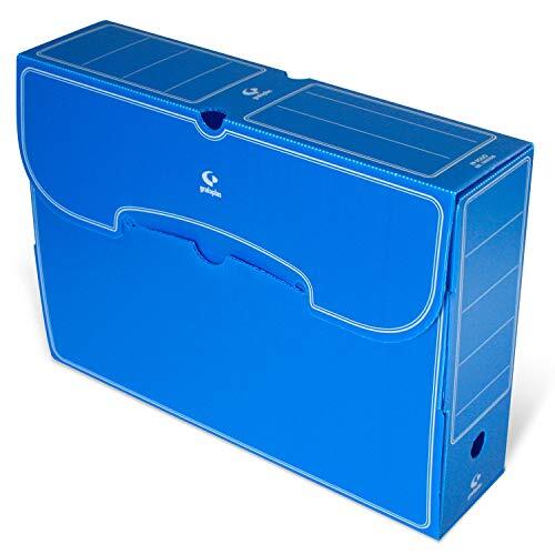 Cajas de archivo definitivo de colores Cajas de archivo definitivo de colores