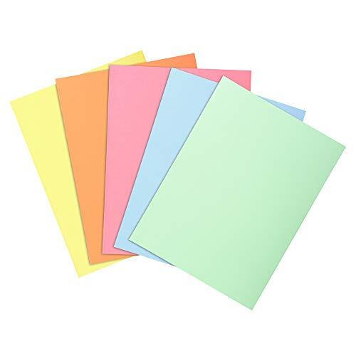 Subcarpetas de papel de 60 g, colores surtidos, A4 (22×31 cm), paquete 100 unidades - Exacompta Subcarpetas de papel de 60 g, colores surtidos, A4 (22×31 cm), paquete 100 unidades - Exacompta